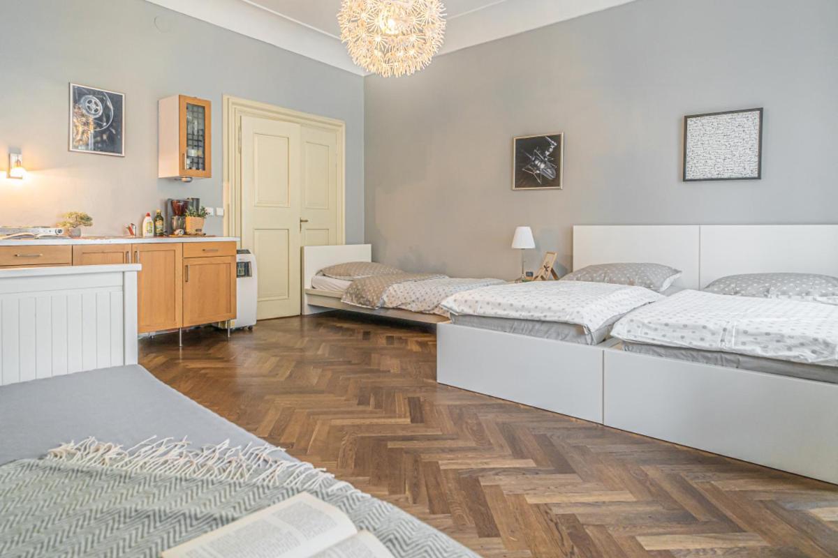 Bright Studio Close To Charles Bridge And Prague Castle Apartment Luaran gambar